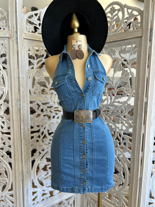 Denim Button Collard Dress- Stretchy