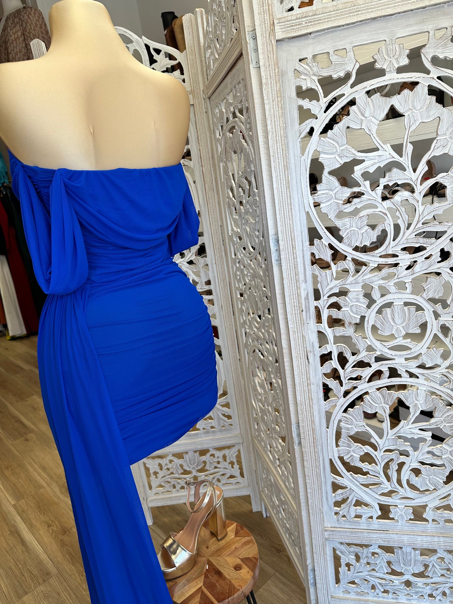 Royal Blue Tailed Dress