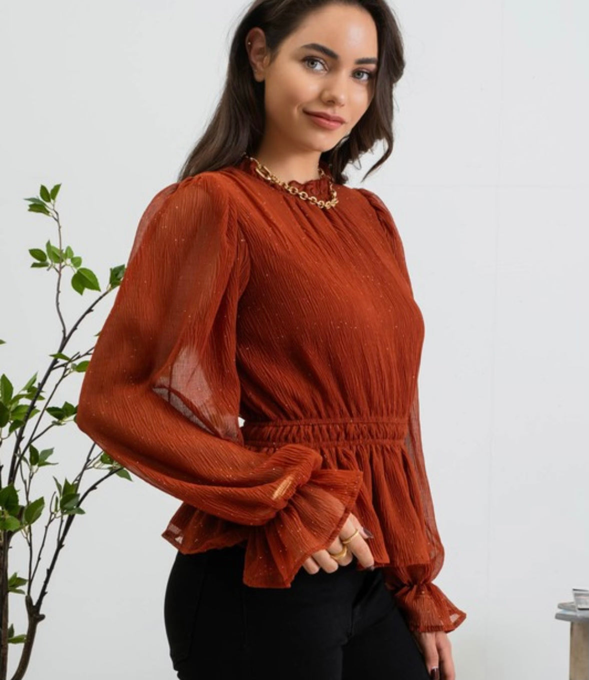 Cinched Mock Neck Blouse