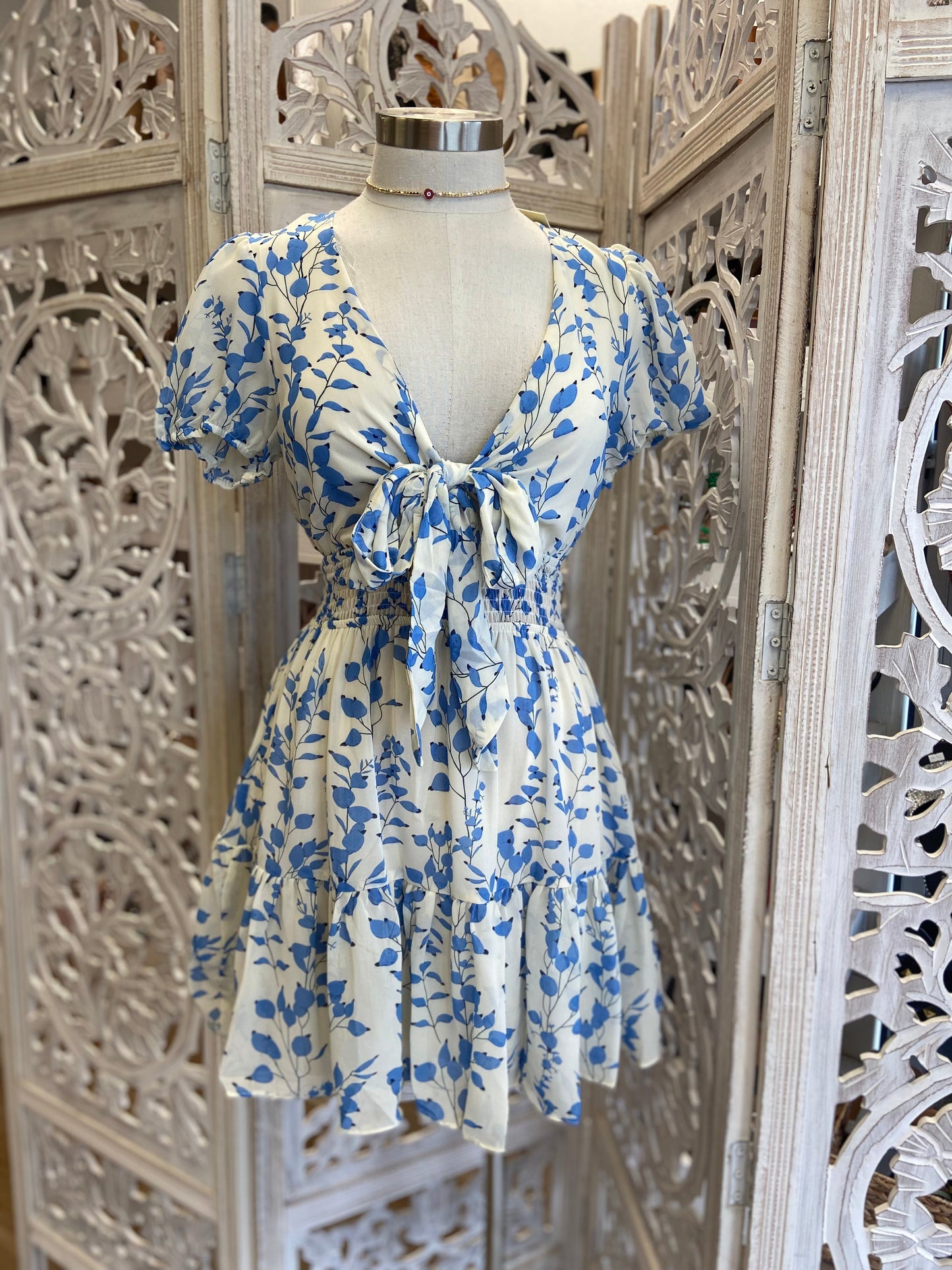 Tie Front Blue Petal Print Dress