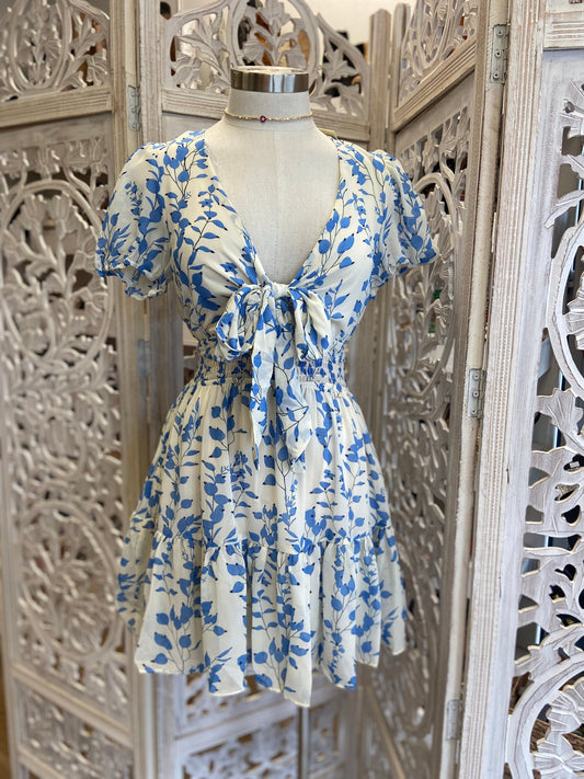 Tie Front Blue Petal Print Dress